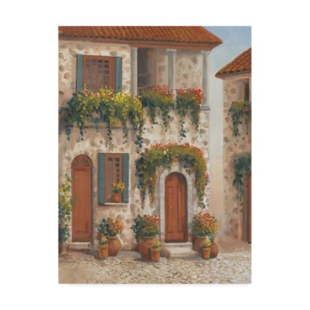 Trademark Fine Art Tim Otoole 'Afternoon Sun I' Canvas Art, 18x24 WAG00385-C1824GG